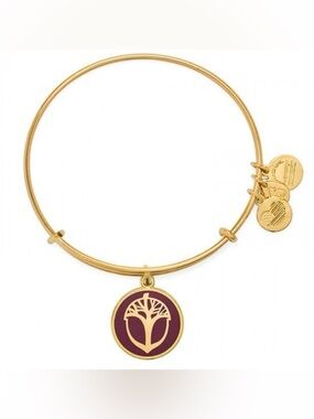 Alex & Ani Golden " Unexpected Miracles Charm Bangle Bracelet